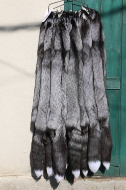 Hayvanların derisi yüzülmüş. Vizon, hayvanların kutup tilkisi derisi. Vizon çiftliği. Kürk manto, canım.