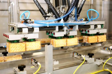 Büyük bisküvi fabrikası. Büyük bir fabrikada bir sıra bisküvi. Makinede kraker paketliyorum. Yenilikçi üretim