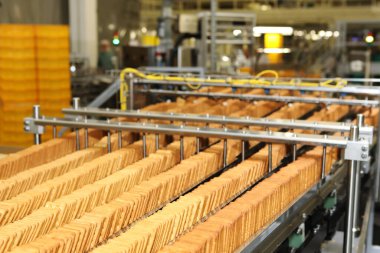 Büyük bisküvi fabrikası. Büyük bir fabrikada bir sıra bisküvi. Makinede kraker paketliyorum. Yenilikçi üretim