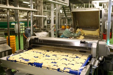Dough cutting line for biscuits. The latest biscuit production line. Large biscuit factory