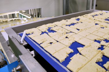 Dough cutting line for biscuits. The latest biscuit production line. Large biscuit factory