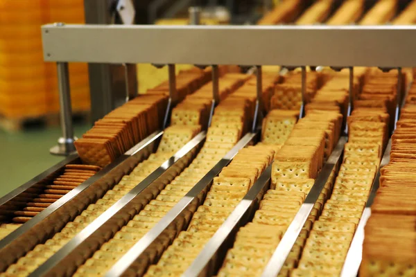 A lot of cookies on the production line. The flow of sweets before packaging. Packing crackers on the machine. Innovative production