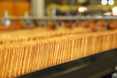Büyük bisküvi fabrikası. Büyük bir fabrikada bir sıra bisküvi. Makinede kraker paketliyorum. Yenilikçi üretim