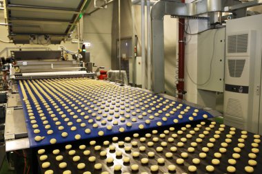 Controlling the work of huge conveyor machine producing spice cakes at the confectionary plant. Cookie production line. Innovative biscuit production..