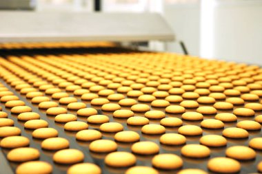 Controlling the work of huge conveyor machine producing spice cakes at the confectionary plant. Cookie production line. Innovative biscuit production..