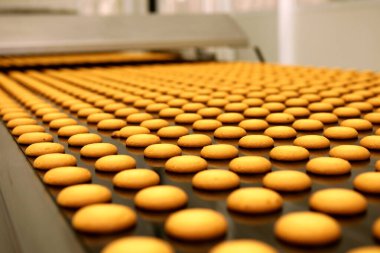 Controlling the work of huge conveyor machine producing spice cakes at the confectionary plant. Cookie production line. Innovative biscuit production..