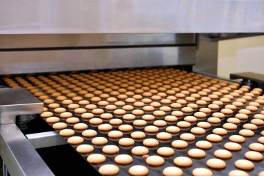 Controlling the work of huge conveyor machine producing spice cakes at the confectionary plant. Cookie production line. Innovative biscuit production..