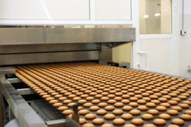 Controlling the work of huge conveyor machine producing spice cakes at the confectionary plant. Cookie production line. Innovative biscuit production..