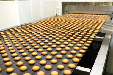 Controlling the work of huge conveyor machine producing spice cakes at the confectionary plant. Cookie production line. Innovative biscuit production..
