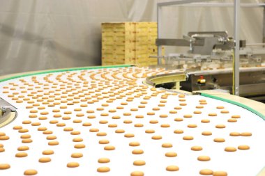 Controlling the work of huge conveyor machine producing spice cakes at the confectionary plant. Cookie production line. Innovative biscuit production..