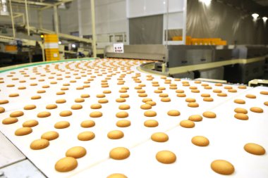 Controlling the work of huge conveyor machine producing spice cakes at the confectionary plant. Cookie production line. Innovative biscuit production..