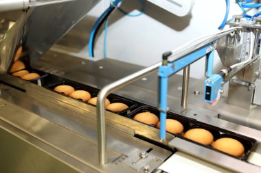 Controlling the work of huge conveyor machine producing spice cakes at the confectionary plant. Cookie production line. Innovative biscuit production..