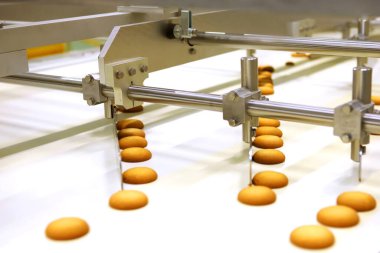 Controlling the work of huge conveyor machine producing spice cakes at the confectionary plant. Cookie production line. Innovative biscuit production..