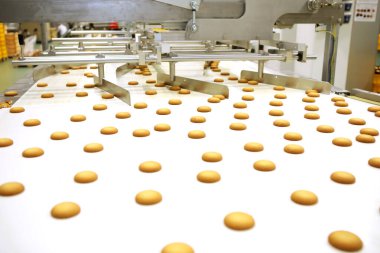 Controlling the work of huge conveyor machine producing spice cakes at the confectionary plant. Cookie production line. Innovative biscuit production..