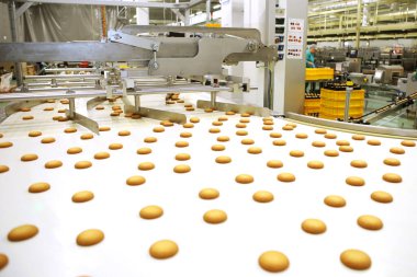 Controlling the work of huge conveyor machine producing spice cakes at the confectionary plant. Cookie production line. Innovative biscuit production..