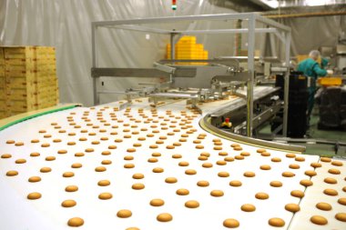 Controlling the work of huge conveyor machine producing spice cakes at the confectionary plant. Cookie production line. Innovative biscuit production..