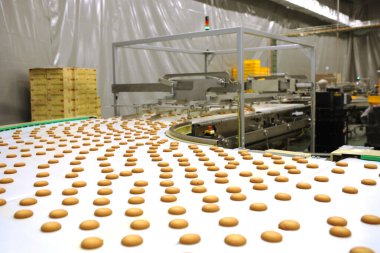 Controlling the work of huge conveyor machine producing spice cakes at the confectionary plant. Cookie production line. Innovative biscuit production..