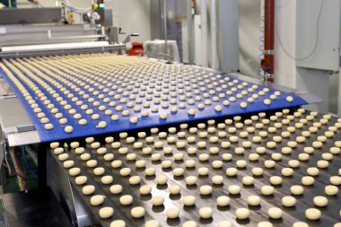 Controlling the work of huge conveyor machine producing spice cakes at the confectionary plant. Cookie production line. Innovative biscuit production..