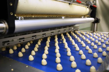 Controlling the work of huge conveyor machine producing spice cakes at the confectionary plant. Cookie production line. Innovative biscuit production..
