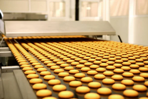 Controlling the work of huge conveyor machine producing spice cakes at the confectionary plant. Cookie production line. Innovative biscuit production..
