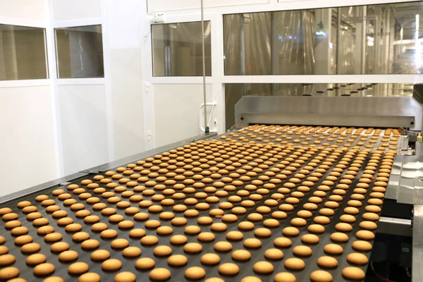 Controlling the work of huge conveyor machine producing spice cakes at the confectionary plant. Cookie production line. Innovative biscuit production..