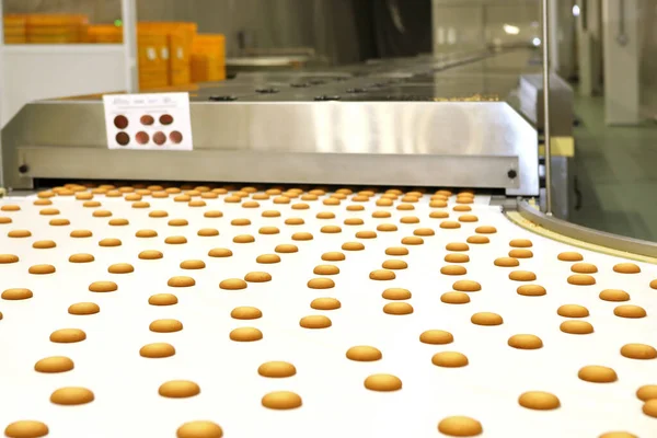 Controlling the work of huge conveyor machine producing spice cakes at the confectionary plant. Cookie production line. Innovative biscuit production..