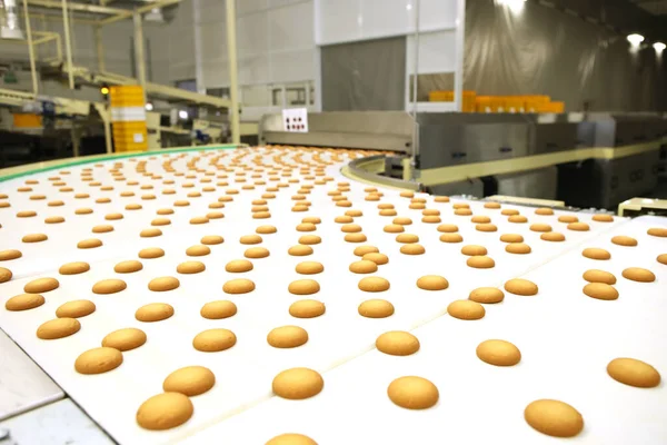Controlling the work of huge conveyor machine producing spice cakes at the confectionary plant. Cookie production line. Innovative biscuit production..