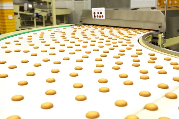 Controlling the work of huge conveyor machine producing spice cakes at the confectionary plant. Cookie production line. Innovative biscuit production..