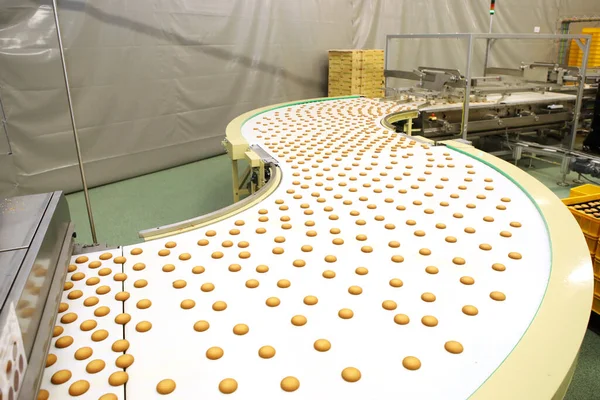 Controlling the work of huge conveyor machine producing spice cakes at the confectionary plant. Cookie production line. Innovative biscuit production..