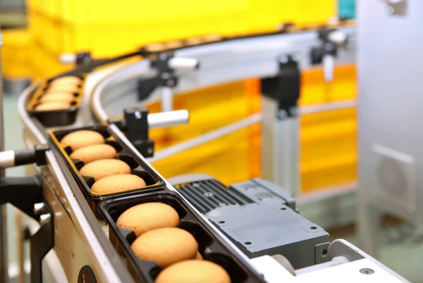 Controlling the work of huge conveyor machine producing spice cakes at the confectionary plant. Cookie production line. Innovative biscuit production..