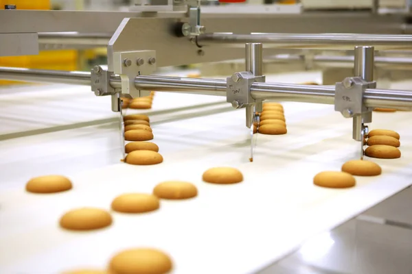 Controlling the work of huge conveyor machine producing spice cakes at the confectionary plant. Cookie production line. Innovative biscuit production..