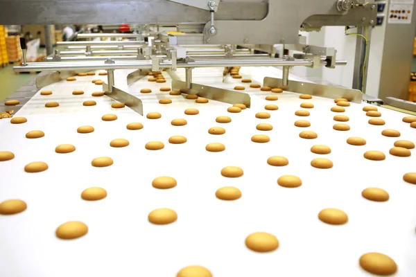 Controlling the work of huge conveyor machine producing spice cakes at the confectionary plant. Cookie production line. Innovative biscuit production..