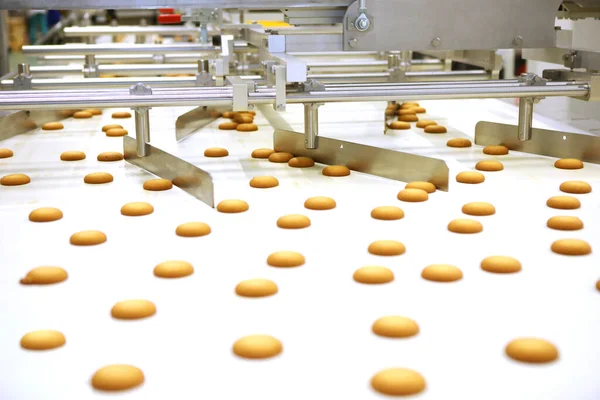 Controlling the work of huge conveyor machine producing spice cakes at the confectionary plant. Cookie production line. Innovative biscuit production..
