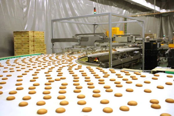 Controlling Work Huge Conveyor Machine Producing Spice Cakes Confectionary Plant — Zdjęcie stockowe