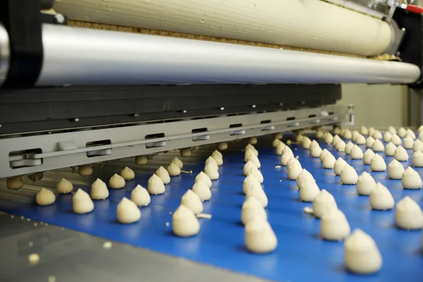 Controlling the work of huge conveyor machine producing spice cakes at the confectionary plant. Cookie production line. Innovative biscuit production..
