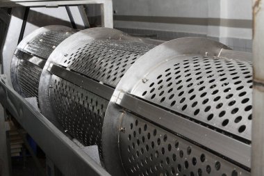 Factory for the production of canned champignons. Washing, conveyor, cleaning and packaging of champignons