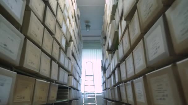 Stojaki archiwalne z pudełkami na półkach i drabiną na końcu rzędu — Wideo stockowe