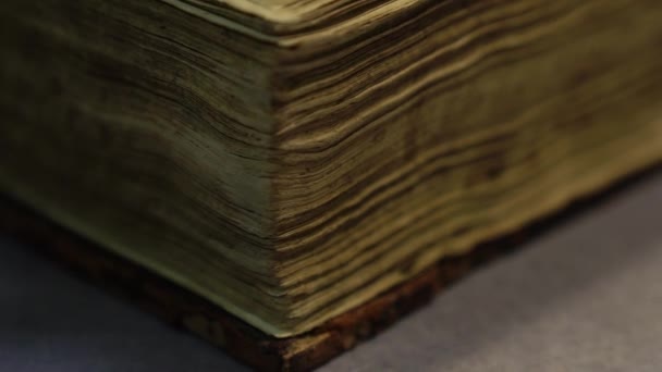Bibliothecaris opent dik boek met oude doornen pagina 's om te lezen — Stockvideo