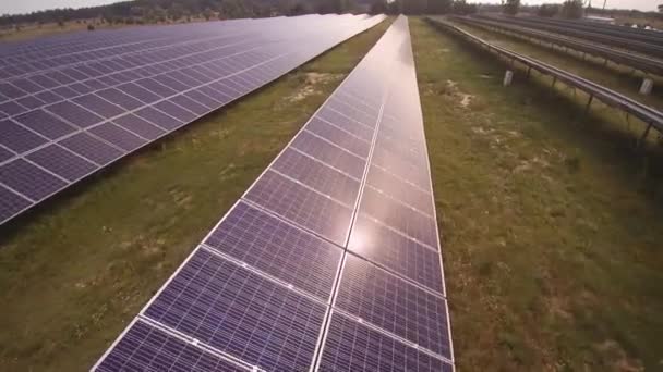 Rows of solarcells collect sun energy producing electricity — Stock Video