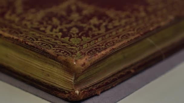 Φθαρμένες άκρες του εξώφυλλου του βιβλίου και κίτρινες σελίδες του παλιού χαρτοφυλακίου — Αρχείο Βίντεο