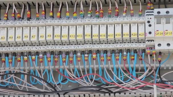 Cabinet Wire Cables Connecting Circuit Breakers Closeup — Stock Video