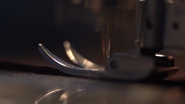 Needle Foot Sewing Machine Making Stitches Macro — Stock Video
