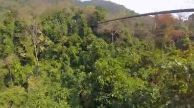Tayland ormanında bungee jumping yapmak. Ağaçlarda yokuş aşağı giden teleferik.