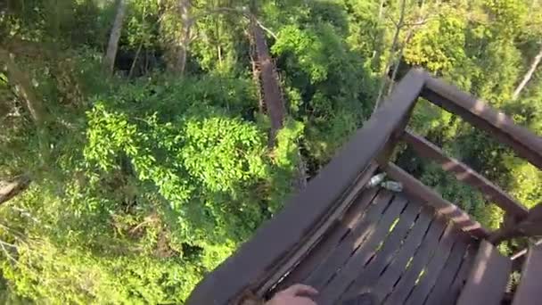 Die Hölzerne Rechte Hand Auf Einen Baum Dschungel Klettern — Stockvideo