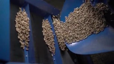 Tahta yakıt tankları taşıma bandı taşıyan hücrelerin üzerine düşüyor.