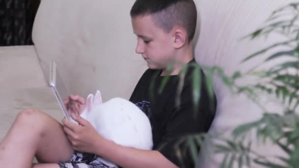 Мальчик Играет Игру Планшете Белый Пушистый Кролик Прыгает Диване Зеленый — стоковое видео