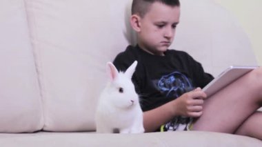 Çocuk tablette oyun oynuyor, beyaz tüylü bir tavşan kanepede zıplıyor. Yeşil çalı kapat