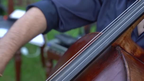 Professional Cellist Plays Open Area Guests Guy Plays Cello Street — стоковое видео