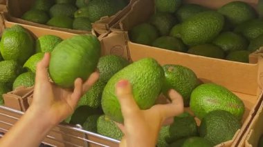 Young man comes out with a fresh avocado in a fruit supermarket. Green avocado in store drawers. Buying fresh fruits in the market