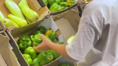 Green juicy fresh peppers on the store counter. Hand chooses pepper in a box